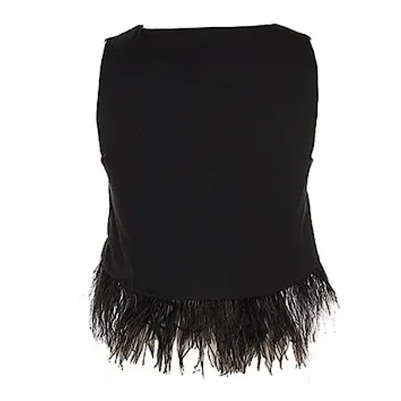 π€ LAST ONE π€ #138 Black Ostrich Feather Hem Sleeveless V-Neck Crop Top SMALL - Picture 2 of 4
